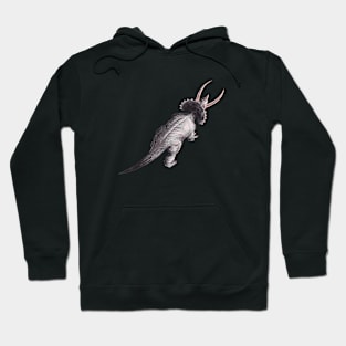 Lonely dino Hoodie